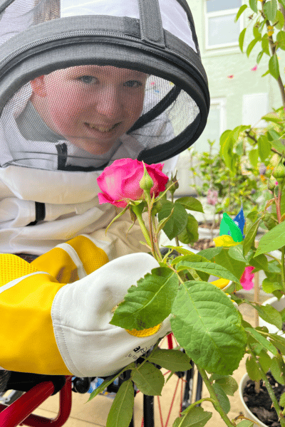 World Bee Day with Noah | #HugsForNoah